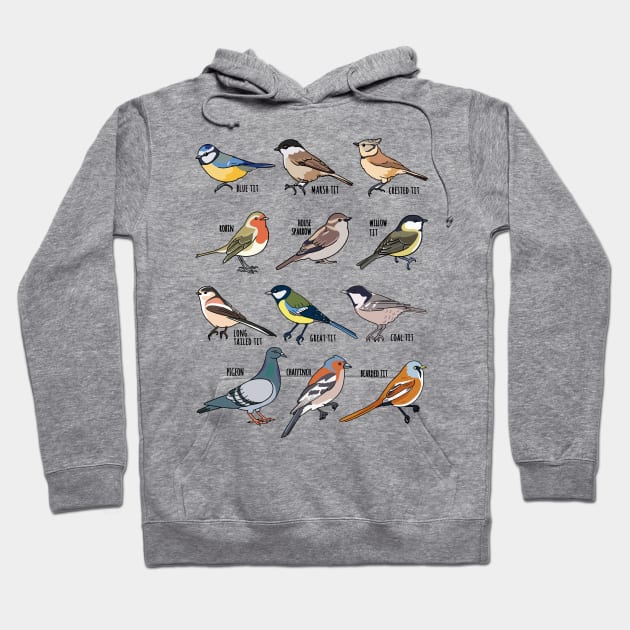 Birdwatching Birder Gift Wildlife Birds Hoodie by qwertydesigns